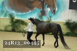 24R13_00445 thumbnail
