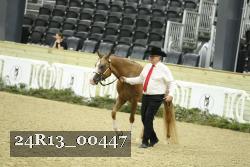 24R13_00447 thumbnail