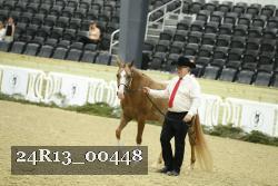24R13_00448 thumbnail