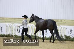 24R13_00449 thumbnail