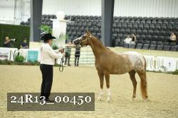 24R13_00450 thumbnail