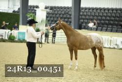 24R13_00451 thumbnail