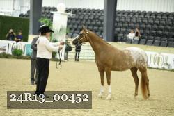 24R13_00452 thumbnail