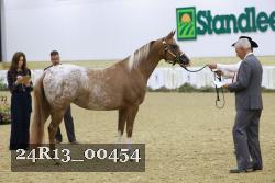 24R13_00454 thumbnail