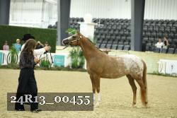 24R13_00455 thumbnail