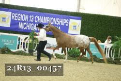 24R13_00457 thumbnail