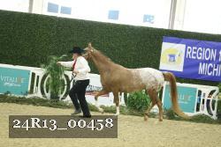 24R13_00458 thumbnail