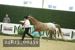 24R13_00459 thumbnail