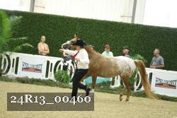 24R13_00460 thumbnail
