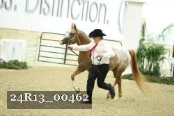 24R13_00462 thumbnail