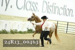 24R13_00463 thumbnail