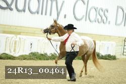 24R13_00464 thumbnail