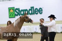 24R13_00466 thumbnail
