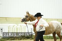 24R13_00467 thumbnail
