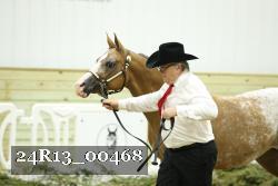 24R13_00468 thumbnail