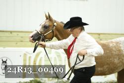 24R13_00469 thumbnail