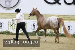 24R13_00470 thumbnail