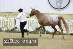 24R13_00471 thumbnail