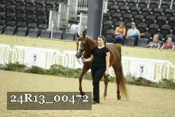 24R13_00472 thumbnail