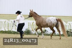 24R13_00473 thumbnail