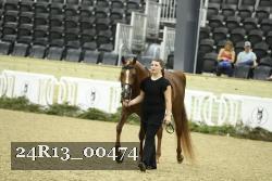 24R13_00474 thumbnail