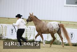 24R13_00475 thumbnail