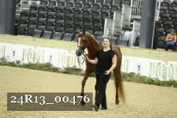 24R13_00476 thumbnail