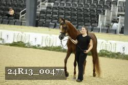 24R13_00477 thumbnail