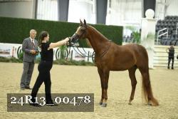 24R13_00478 thumbnail