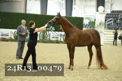 24R13_00479 thumbnail