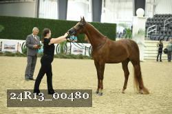 24R13_00480 thumbnail