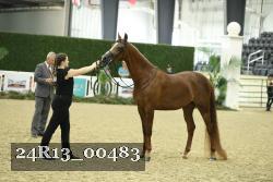 24R13_00483 thumbnail