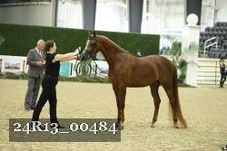 24R13_00484 thumbnail