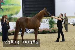 24R13_00485 thumbnail