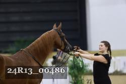 24R13_00486 thumbnail