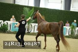 24R13_00487 thumbnail