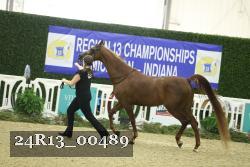 24R13_00489 thumbnail