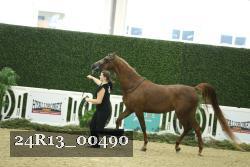 24R13_00490 thumbnail