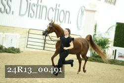 24R13_00491 thumbnail