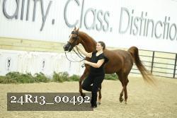 24R13_00492 thumbnail