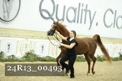 24R13_00493 thumbnail