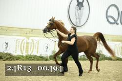 24R13_00494 thumbnail