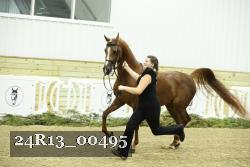 24R13_00495 thumbnail