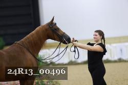 24R13_00496 thumbnail