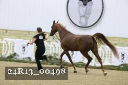 24R13_00498 thumbnail