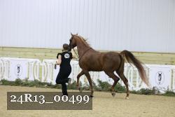 24R13_00499 thumbnail
