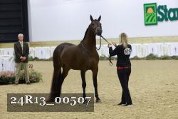 24R13_00507 thumbnail