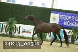 24R13_00510 thumbnail