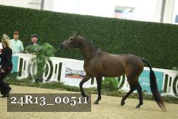 24R13_00511 thumbnail