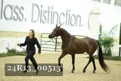 24R13_00513 thumbnail
